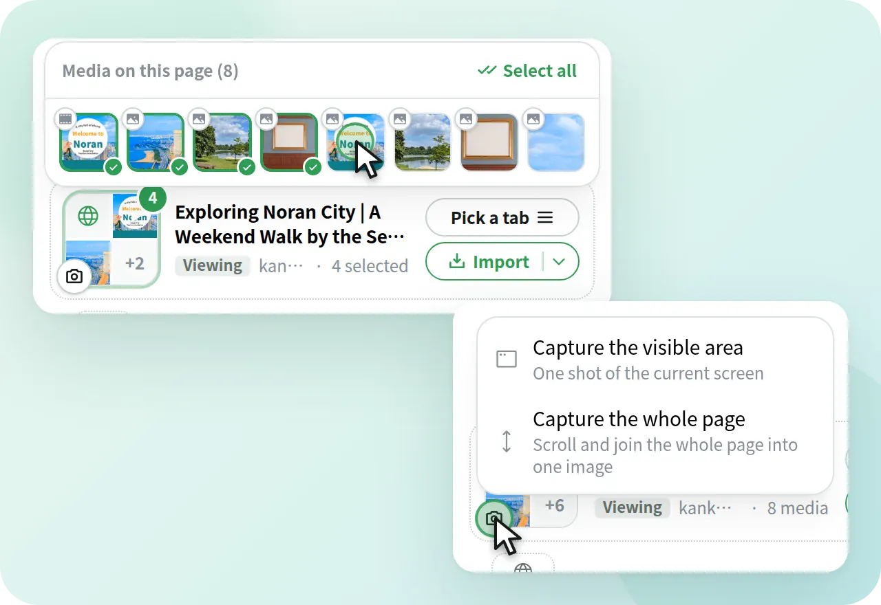 A list of the images on the page and a menu for choosing how to take a screenshot