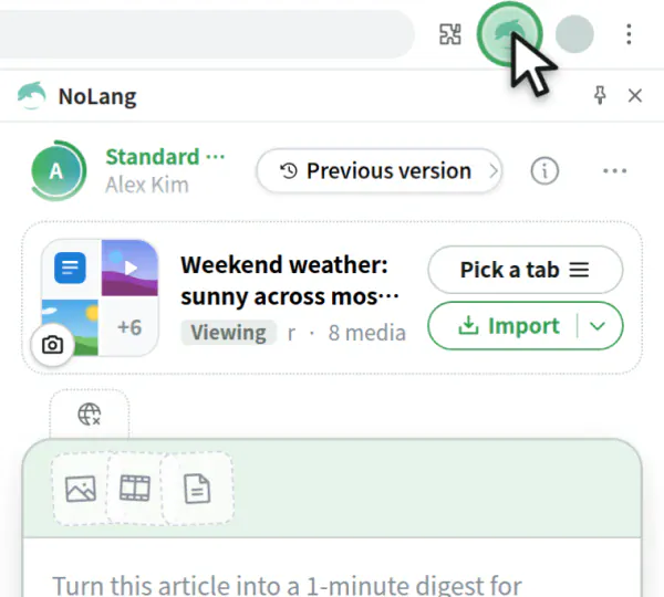 Clicking the NoLang icon in the toolbar opens the extension panel