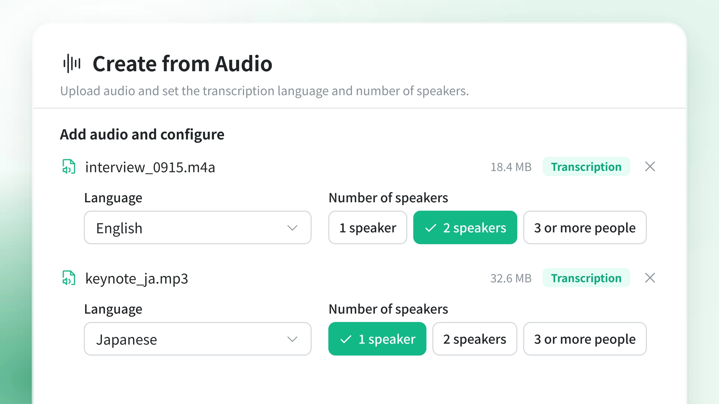 Screen for adding an audio file and choosing the language and number of speakers
