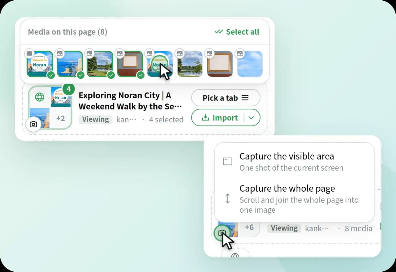 A menu for viewing images on the page and choosing how to take screenshots